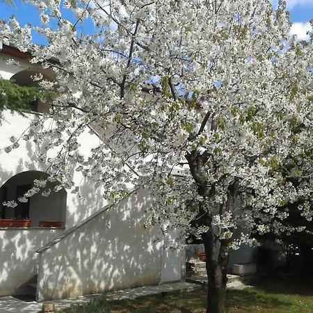 Istria By Nina