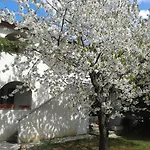 Istria By Nina